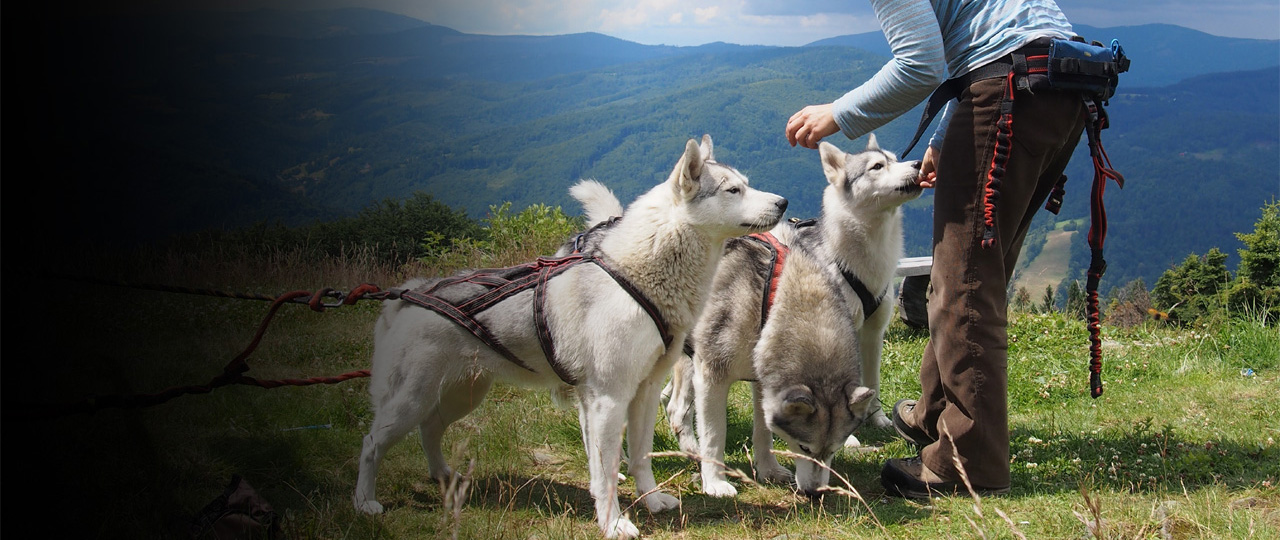 Wyposażenie dodatkowe do Pasów Biodrowych