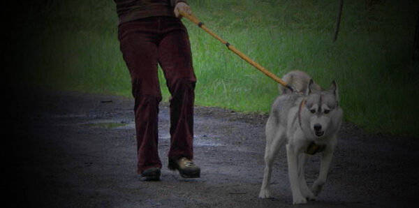 SOFT WALK