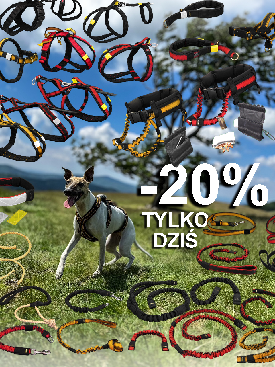 -20% kategorie produktow